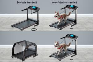 Dog treadmill features
