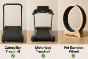 Caterpillar Treadmill vs motorized and cat treadmill